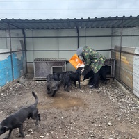photo de livraison pour Associtia Axi Hope Romania