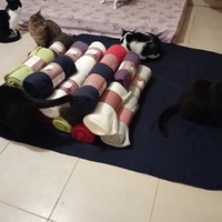 photo de livraison pour Les Amis de Michouette