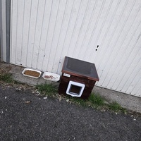 photo de livraison pour Les Chats de Dugny