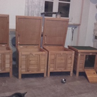 photo de livraison pour Les Chats Errants Du Montargois