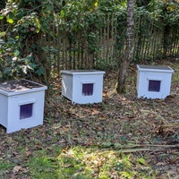 photo de livraison pour Adoption Féline Estuaire