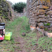 photo de livraison pour Jardin des Chats