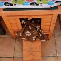 photo de livraison pour Protect Cat