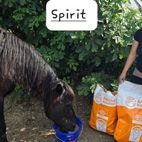 photo de livraison pour La Retraite des Chevaux des Causses
