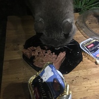 photo de livraison pour Félin Pour L’Hôte