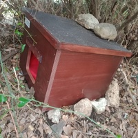 photo de livraison pour Les Chats-Pitresdelavi-Ste