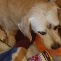 photo de livraison pour AVRAH