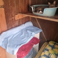 photo de livraison pour L'Arche de la Gazelle