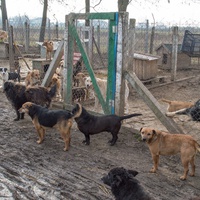 photo de livraison pour Azil Bella