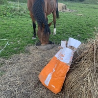 photo de livraison pour Espoir au Galop