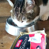 photo de livraison pour Ecole du Chat Libre de Caillerot