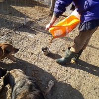 photo de livraison pour Depend on Us - Asociatia Depind de Noi