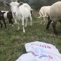 photo de livraison pour Espoir au Galop