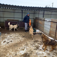 photo de livraison pour Associtia Axi Hope Romania