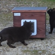 photo de livraison pour URGENCE AIDE ANIMAUX