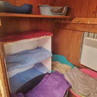 photo de livraison pour L'Arche de la Gazelle