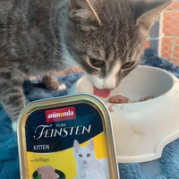 photo de livraison pour Au Bonheur Animal