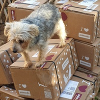 photo de livraison pour AVRAH