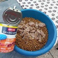 photo de livraison pour Les Poilus du 33