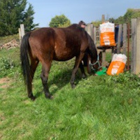 photo de livraison pour Association hippique du Caroux