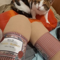 photo de livraison pour Les Pattounes de l'Espoir