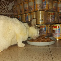 photo de livraison pour Samantha Réaux