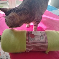 photo de livraison pour Les Chats de la Rue