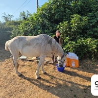 photo de livraison pour La Retraite des Chevaux des Causses