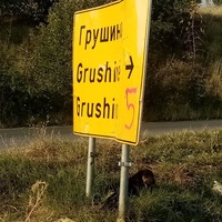 photo de livraison pour Civic Initiative Kane Korzo Skopje