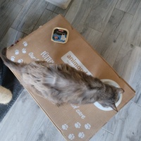 photo de livraison pour CAPPA