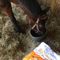 photo de livraison pour Espoir au Galop
