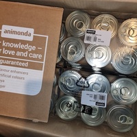 photo de livraison pour Lezard