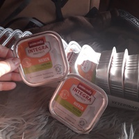 photo de livraison pour Patounes de Chats