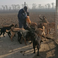 photo de livraison pour Association for the protection of animals "BAK"