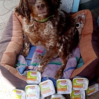 photo de livraison pour Le Grand Cœur de Lola