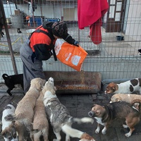 photo de livraison pour Associtia Axi Hope Romania