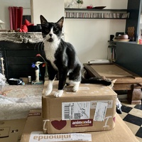 photo de livraison pour Association C.A.T.S. Chat Animal Terrien Solidarité