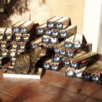 photo de livraison pour Protection Animale Berroise