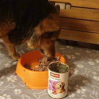 photo de livraison pour AVRAH