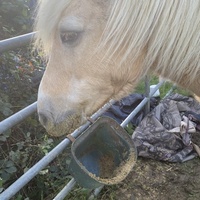 photo de livraison pour Espoir au Galop