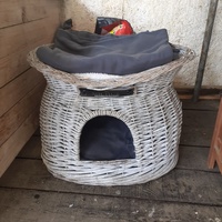 photo de livraison pour Chats cerbériens