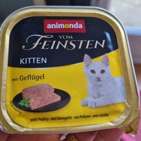 photo de livraison pour Les Chatgabonds