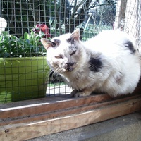 photo de livraison pour Amichiens