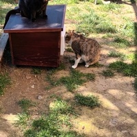 photo de livraison pour SALOME