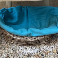 photo de livraison pour Ecole du Chat des Alpilles