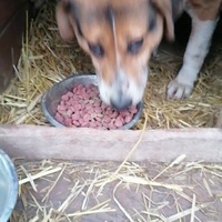 photo de livraison pour Samira Gagula