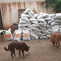 photo de livraison pour Help Adopt Moroccan Animals