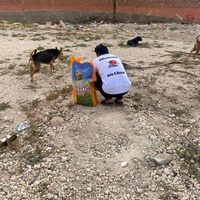 photo de livraison pour L'Arche de Noé