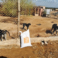 photo de livraison pour Fondation Helga Heidrich SOS Animaux