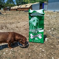 photo de livraison pour Beta Zajecar